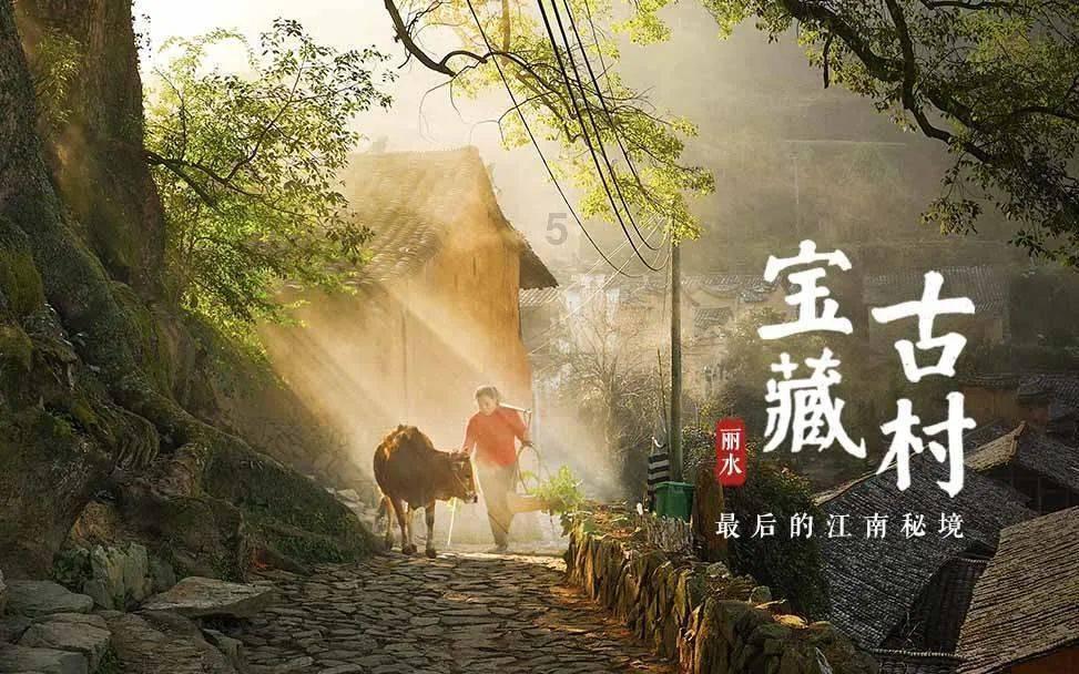 危险森林大逃脱